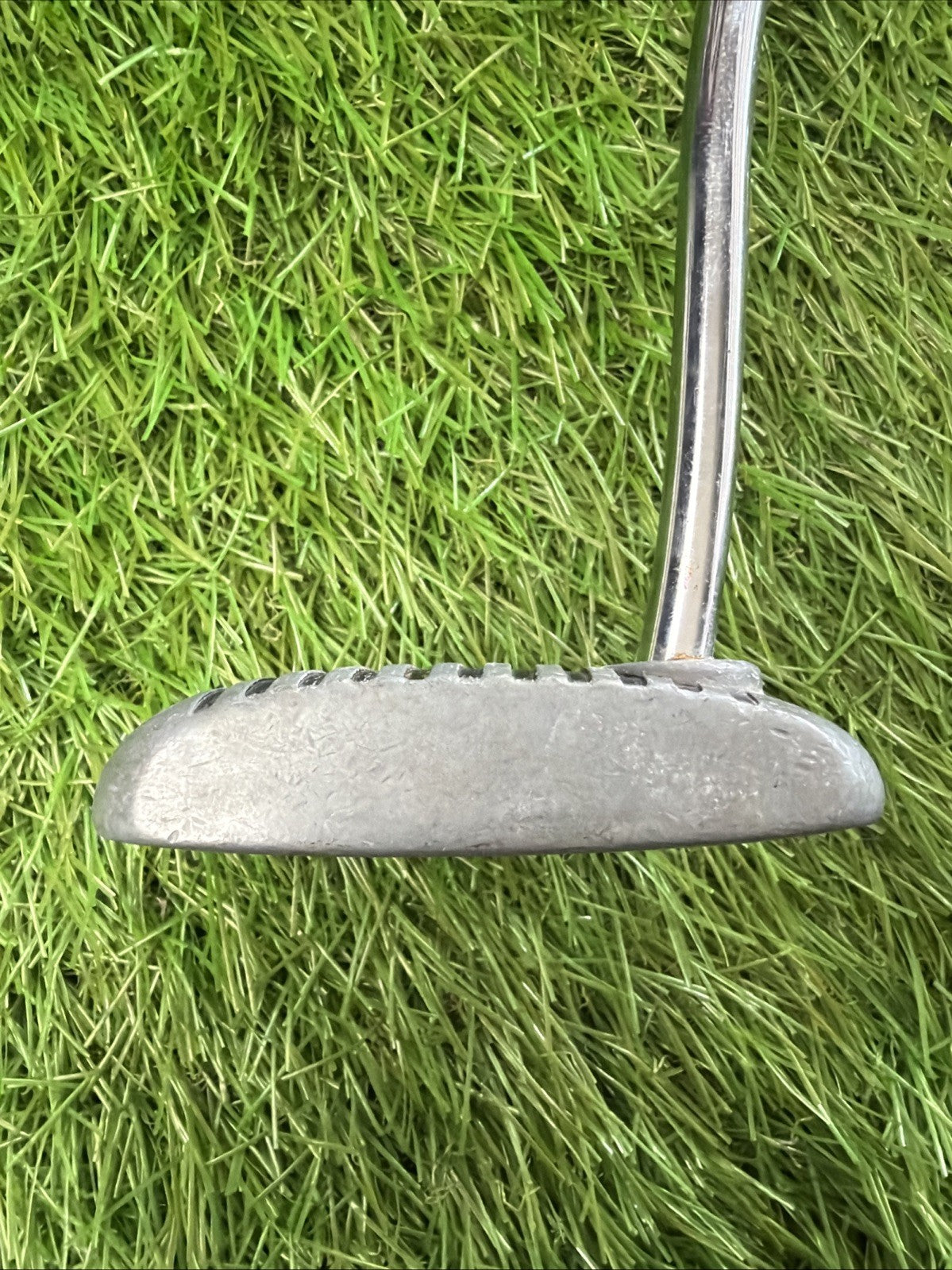 Zebra Mid-Mallet Putter Face Balanced RH Steel Shaft 34"