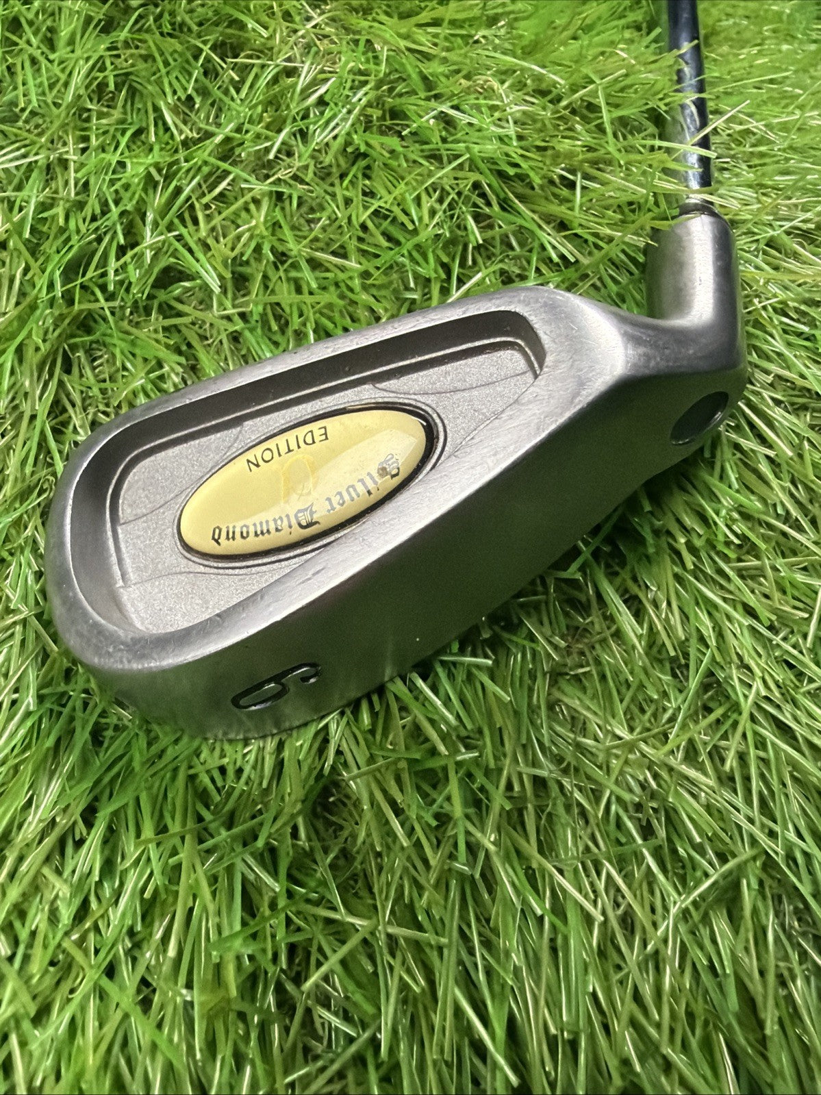 Vintage Silver Diamond 6 Iron LH True Temper Steel Shaft 36"