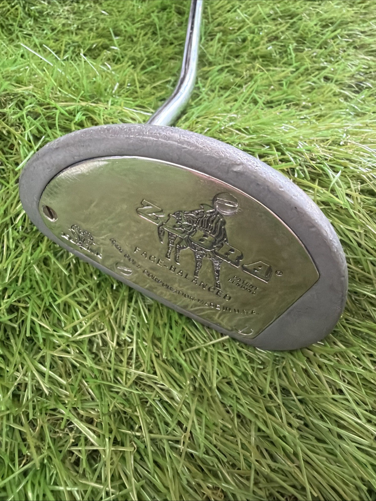 Zebra Mid-Mallet Putter Face Balanced RH Steel Shaft 34"